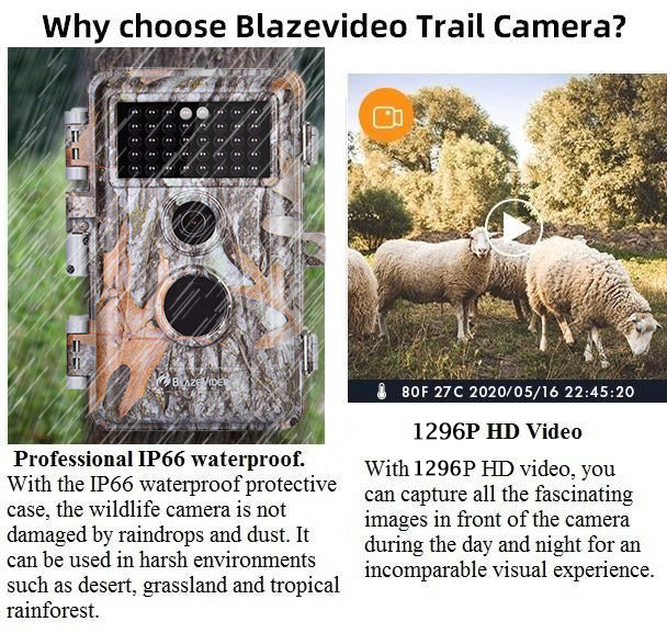 Wildlife Trail Camera with No Glow Night Vision 0.3S Trigger Motion Activated 32MP 1296P IP66 Waterproof for Hunting & home security | A252