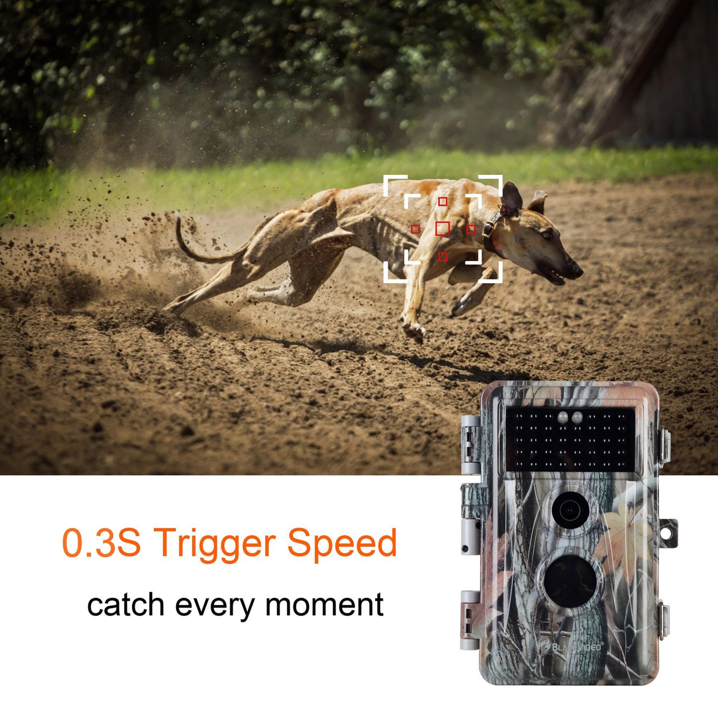 Wildlife Trail Camera with No Glow Night Vision 0.3S Trigger Motion Activated 32MP 1296P IP66 Waterproof for Hunting & home security | A252