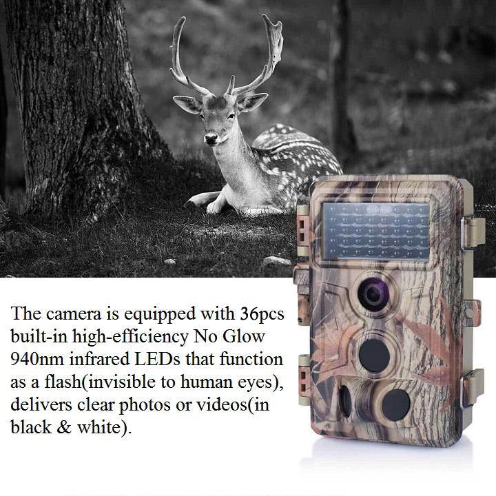 Wildlife Trail Camera with No Glow Night Vision 0.1S Trigger Motion Activated 32MP 1296P IP66 Waterproof for Hunting & home security  | A262