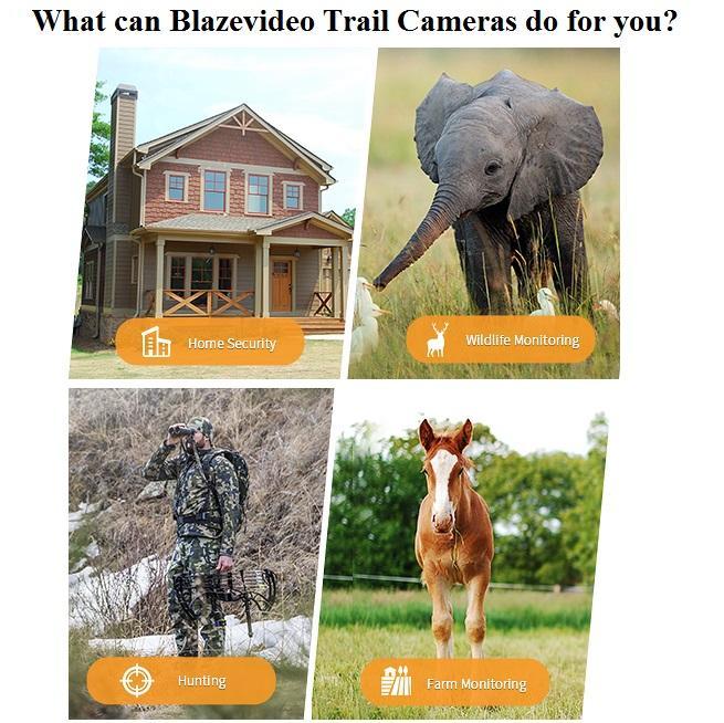 Bundle: Wildlife Trail Camera with Night Vision Motion Activated 0.1S Trigger Speed 24MP 1296P IP66 + SD card reader + 64Gb SD card