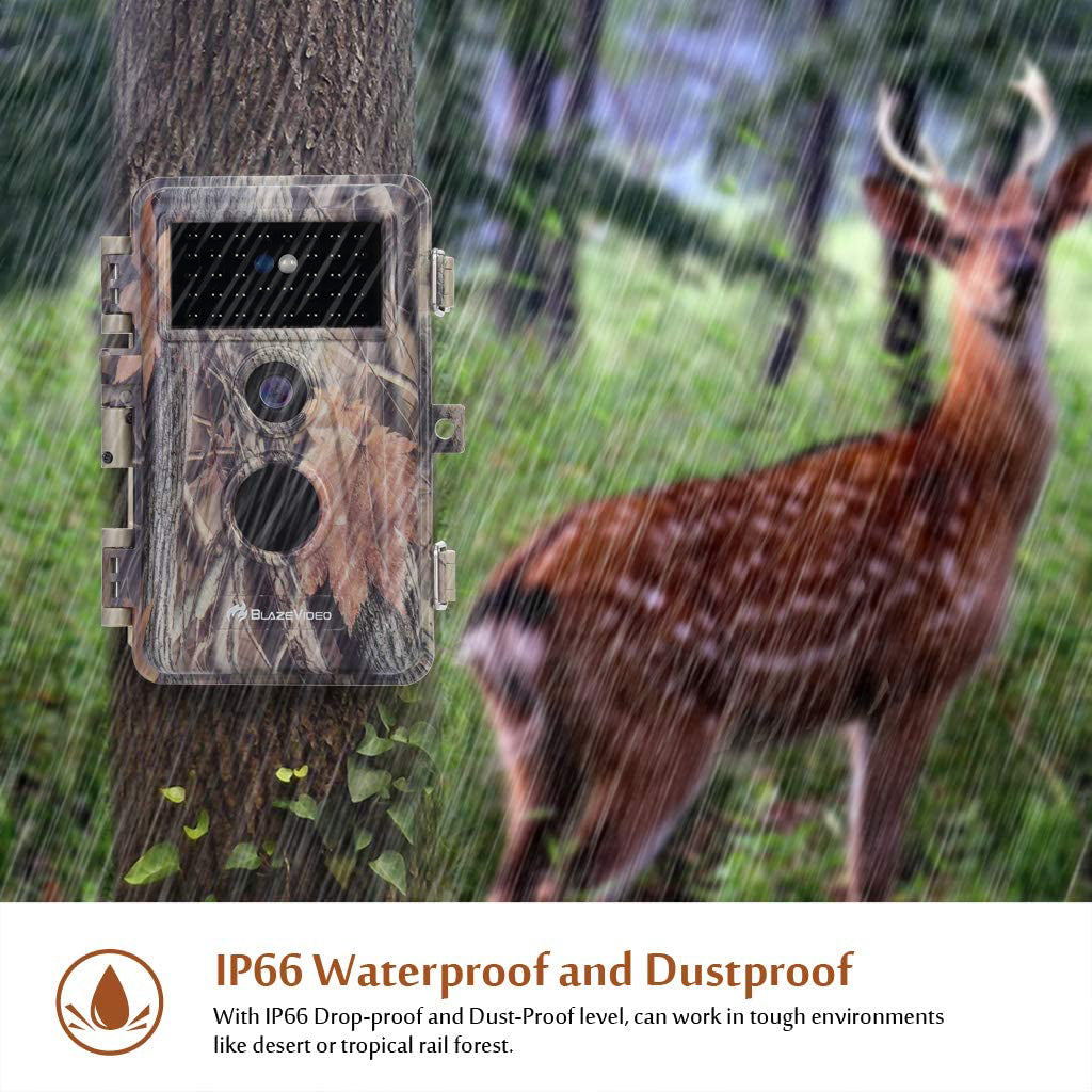 Wildlife Trail Camera with No Glow Night Vision 0.3S Trigger Motion Activated 32MP 1296P IP66 Waterproof for Hunting & Wildlife Observing | A252