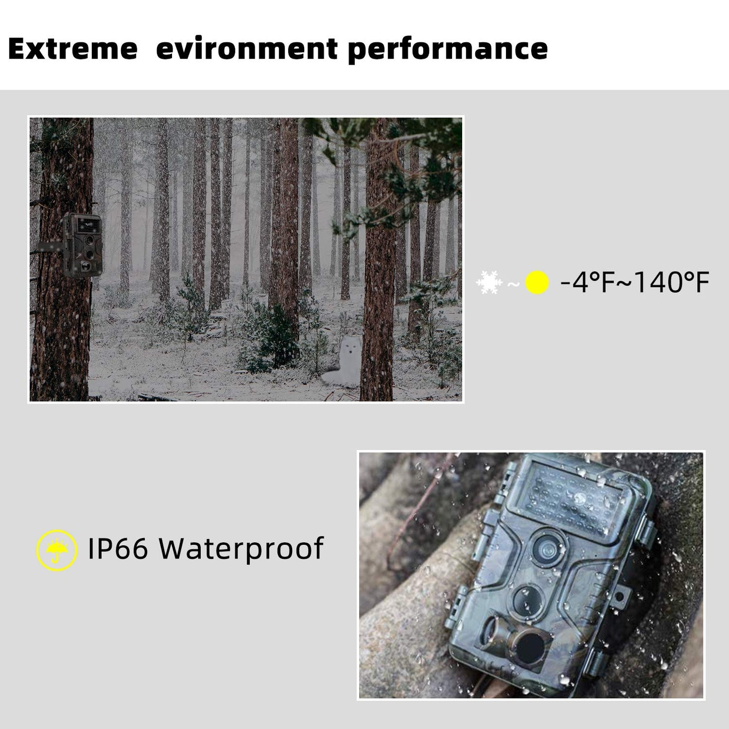 Bundle: Wildlife Trail Camera with Night Vision Motion Activated 0.1S Trigger Speed 24MP 1296P IP66 + SD card reader + 64Gb SD card