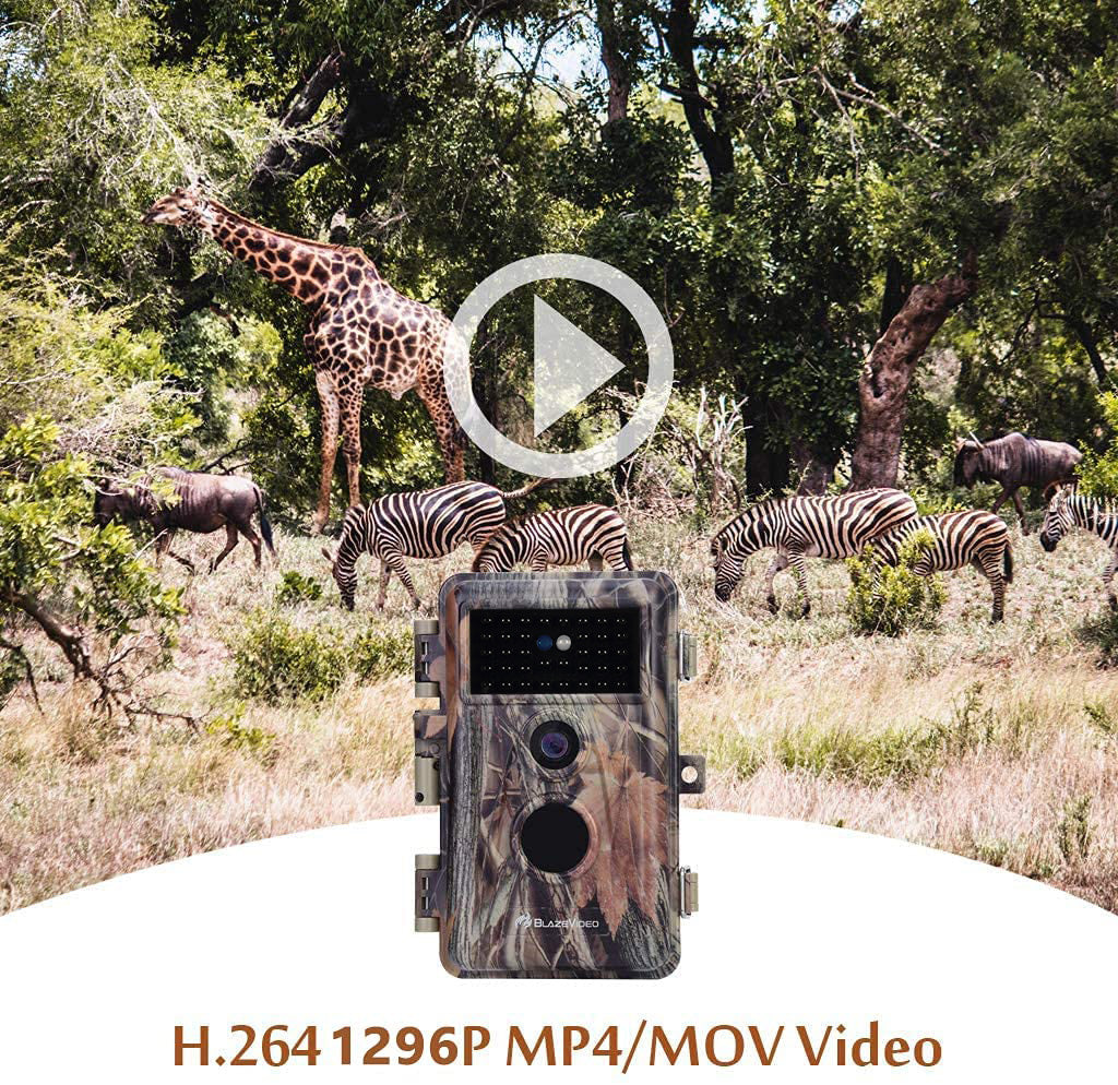 Wildlife Trail Camera with No Glow Night Vision 0.3S Trigger Motion Activated 32MP 1296P IP66 Waterproof for Hunting & Wildlife Observing | A252