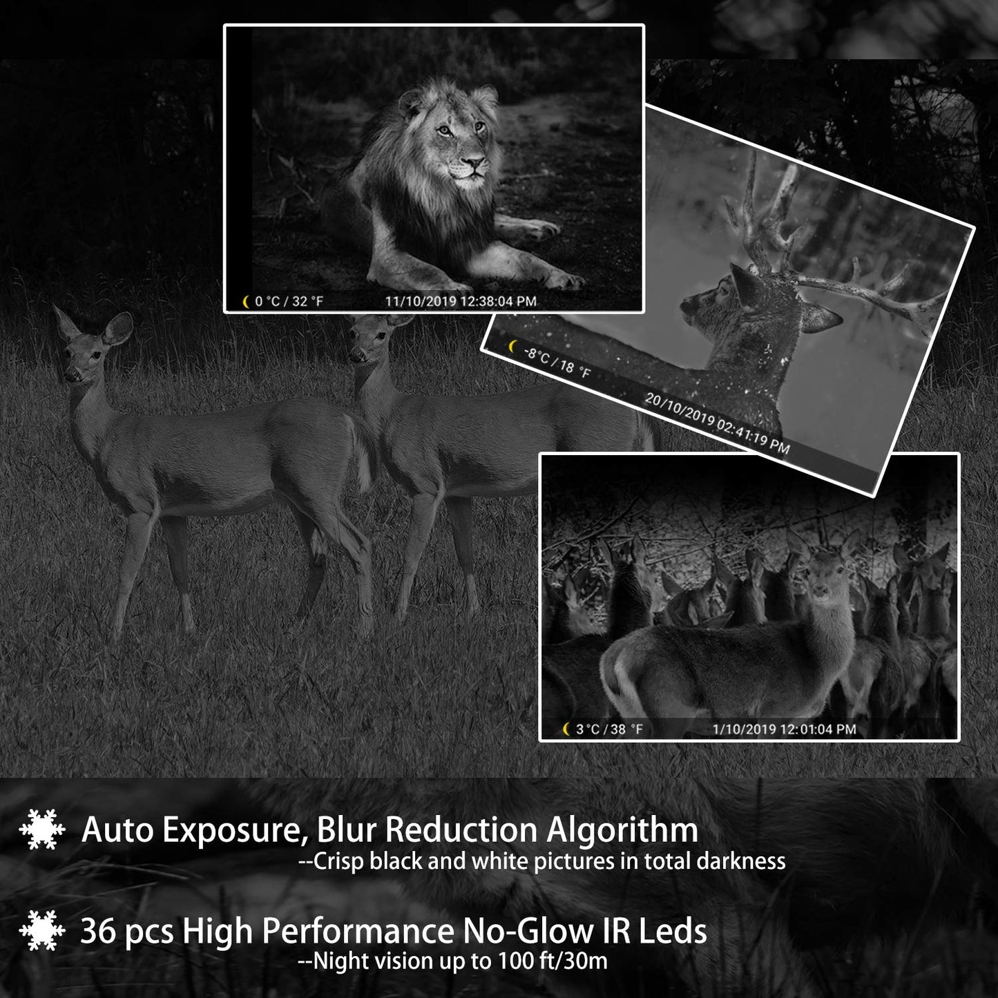 Bundle: Wildlife Trail Camera with Night Vision Motion Activated 0.1S Trigger Speed 24MP 1296P IP66 + SD card reader + 64Gb SD card