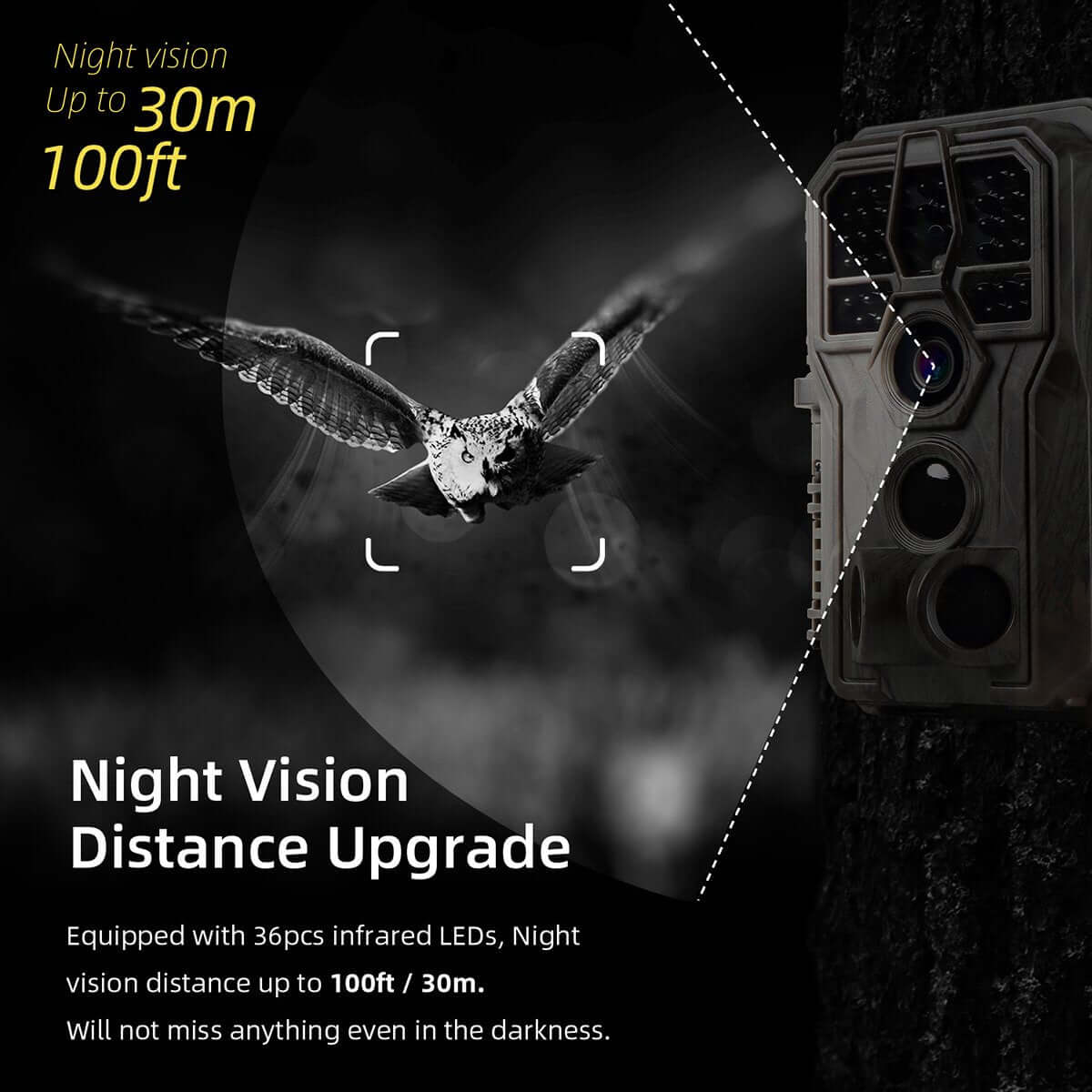 2-Pack Wildlife Camera Trail Camera with Night Vision Motion Activated 0.1S Trigger Speed 24MP 1296P IP66 Waterproof Scouting Cam for & Hunting Wildlife | A252 Winter Forest