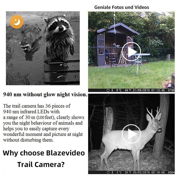 Bundle: Wildlife Trail Camera with Night Vision Motion Activated 0.1S Trigger Speed 24MP 1296P IP66 + SD card reader + 64Gb SD card