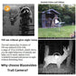 Wildlife Trail Camera with Night Vision 0.1S Trigger Motion Activated 32MP 1296P IP66 Waterproof for Hunting & home security | A323