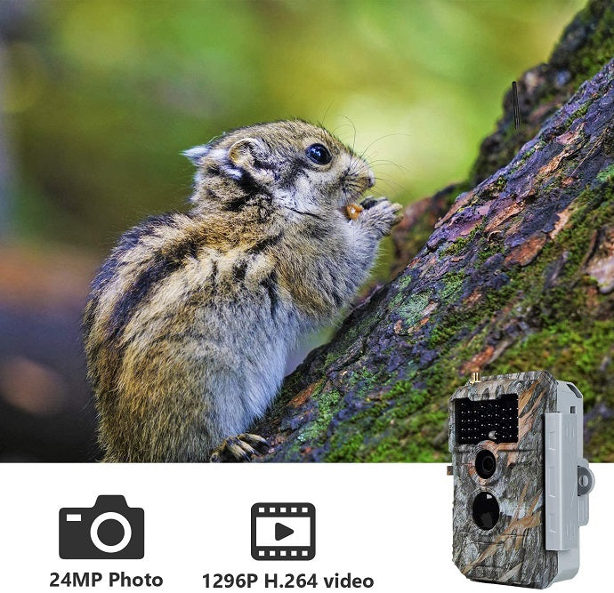 Wireless Bluetooth WiFi Game Trail Deer Camera 32MP 1296P Night Vision No Glow Motion Activated for Wildlife Hunting, Home Security | W600 Red