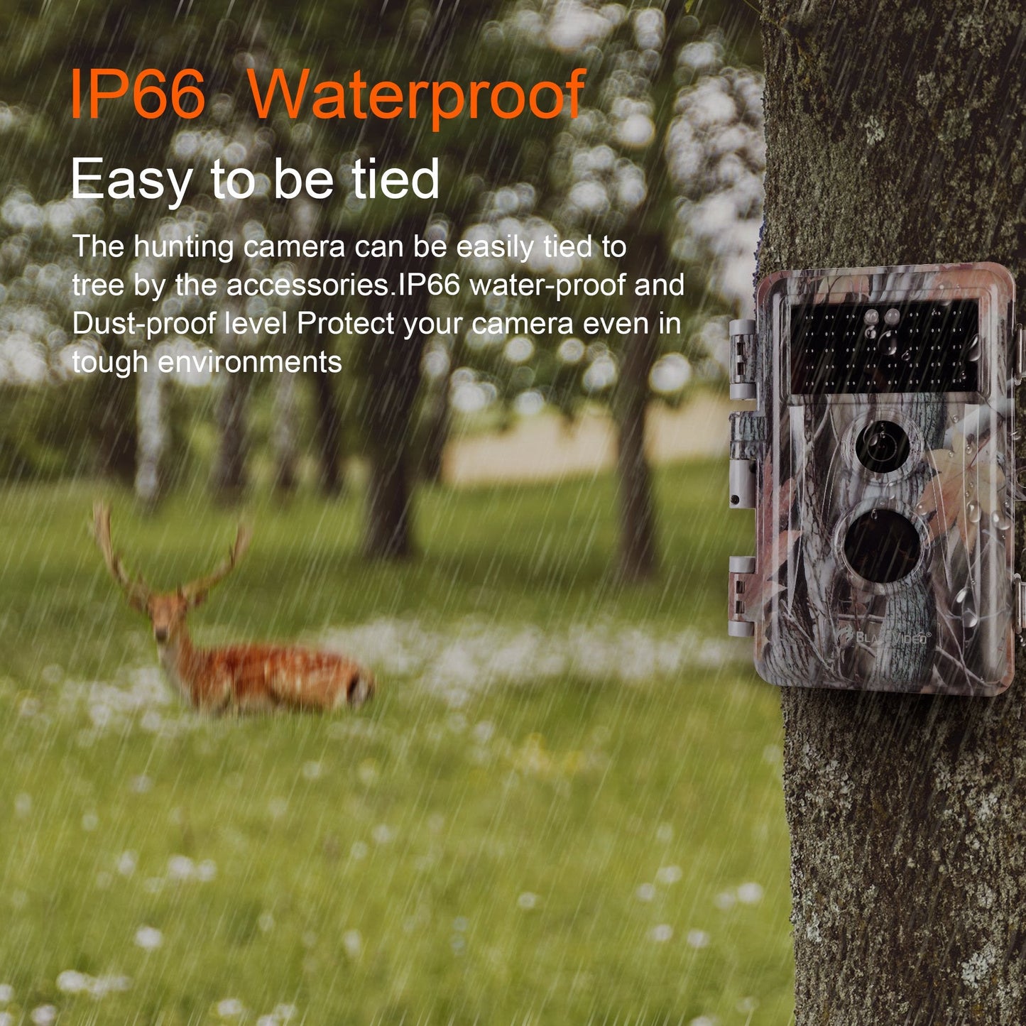 Wildlife Trail Camera with No Glow Night Vision 0.3S Trigger Motion Activated 32MP 1296P IP66 Waterproof for Hunting & home security | A252